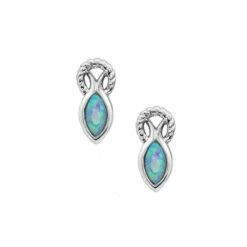 Montana Silversmith Women’s Rooted In Water Earrings