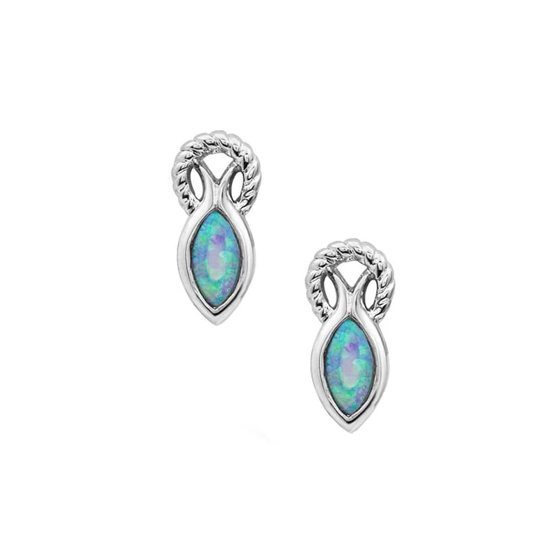 Montana Silversmith Women’s Rooted In Water Earrings